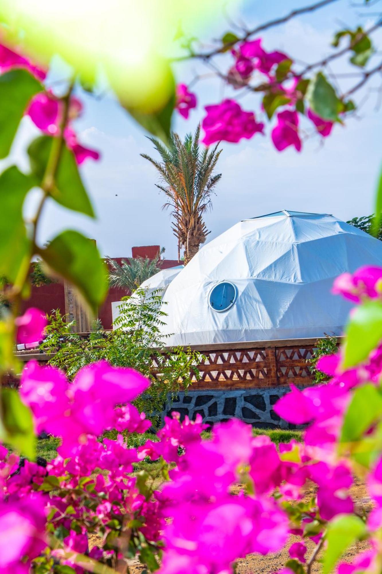 Hotel B&W Sahara Sky Camp Farafra Exterior foto